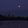 十六夜薬師寺伽藍