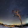 蒜山の夜*1