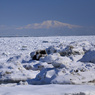 鱒浦の流氷