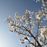 天高く