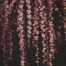 花時間