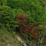 IMGP0060