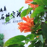 旅の最後に