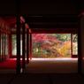 魅惑の天授庵