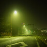 真夜中の散歩道