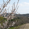 20150228 1