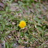 20150228 3
