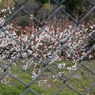 20150228 4