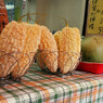 白い食べ物