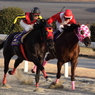 叩き合い　川崎記念（ＪｐｎⅠ）