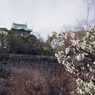 IMGP0309