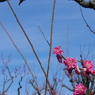 IMGP0295