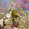 私が主役よ