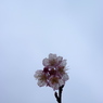 曇り空