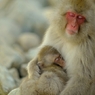 mother