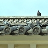 瓦鳩