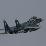 Aggressor③
