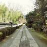 隋心院
