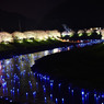 みなみの夜桜景　⑨