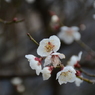 20150308 1
