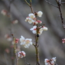 20150308 3