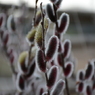 20150308 5