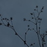 P30833061