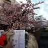 IMG_7517_640
