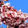Img_62120_640