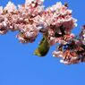 IMG_6195_640