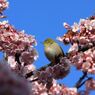 IMG_6210_640