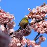 IMG_6212_640