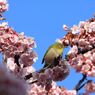 IMG_6214_640