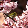 Img_6308_640
