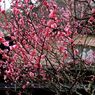 Img_7340_640