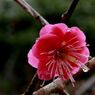 Img_7418_640