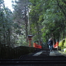 鞍馬寺③