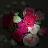 夜の薔薇スタジオ-5