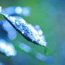 Art of rain Pt9