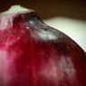 Red onion 