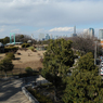 野毛山公園、展望台より