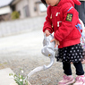 お水やり