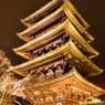 花灯路　八坂の塔