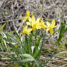20150321 2