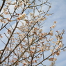 20150321 3