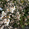 20150321 4