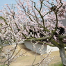 20150321 8