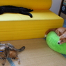 それぞれの居場所