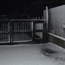 100201_散積雪07