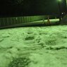 100201_散積雪10